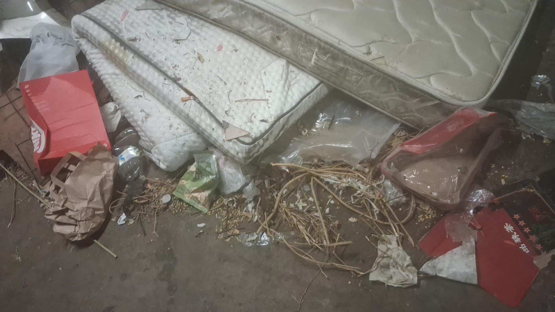 Logement Insalubre